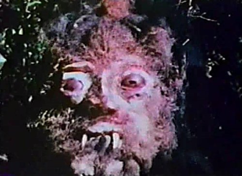 Curse of Bigfoot (1975) – SASQUATCH HORROR MOVIE REVIEW