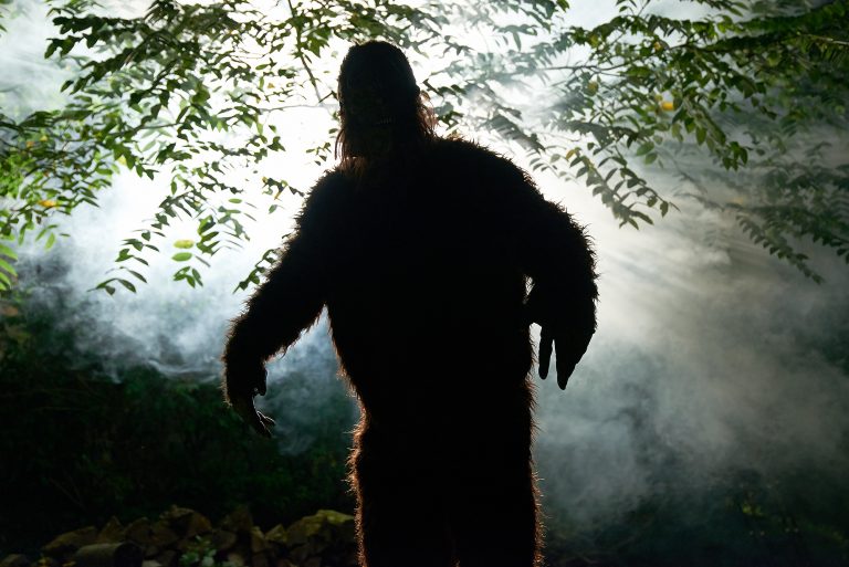 Bigfoot Videos 2020 Most Convincing Sasquatch Videos Ever – The Man-Ape is Real