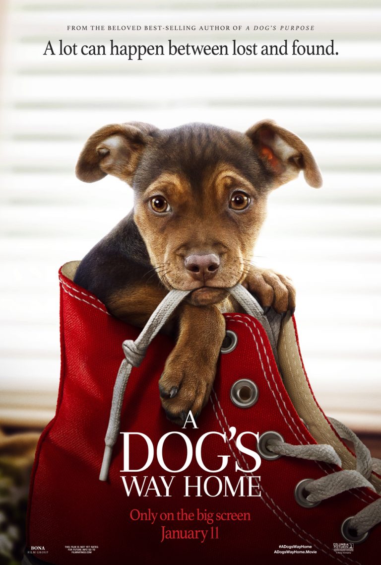 A DOG’S WAY HOME: Releasing January 11th – BREAKING MOVIE NEWS