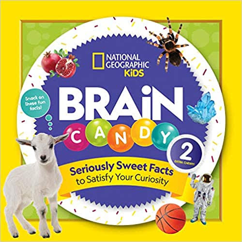 Brain Candy 2 – Christmas Gift Suggestion & Book Review